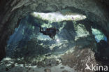 Gran Cenote