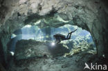 Gran Cenote