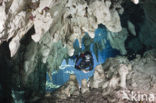 Gran Cenote