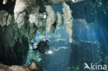 Gran Cenote