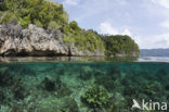 Pacific Ocean