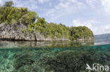 Pacific Ocean