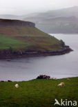 Isle of Skye