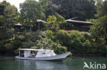 Lembeh Resort