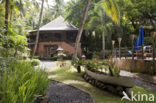 Lembeh Resort