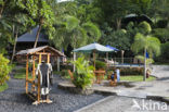 Lembeh Resort