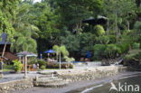 Lembeh Resort