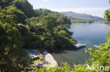 Lembeh Resort