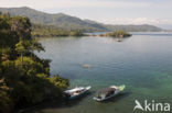 Lembeh Resort