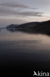 Loch Linnhe