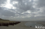 Nationaal Park Duinen van Texel 