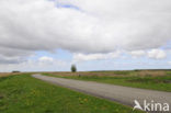 National Park Lauwersmeer