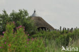 Nationaal Park Lauwersmeer