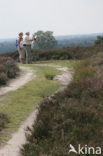 National Park Sallandse Heuvelrug