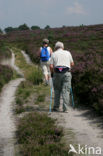 National Park Sallandse Heuvelrug
