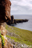 Neist Point Lighthouse