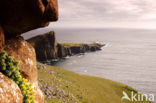 Neist Point Lighthouse