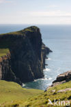 Neist Point