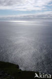 Neist Point