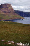 Neist Point