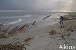 Northsea beach