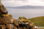 Old Man of Storr