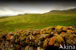 Old Man of Storr