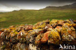 Old Man of Storr