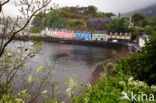 Portree