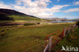 Portree