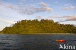 Raja Ampat Eilanden