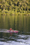 Raja Ampat Eilanden