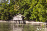 Raja Ampat Eilanden