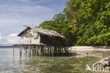 Raja Ampat Eilanden