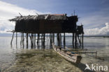 Raja Ampat Eilanden