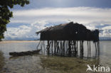 Raja Ampat Eilanden