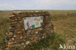 Réserve naturelle Coussouls de Crau