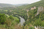 Saint-Cirq-Lapopie