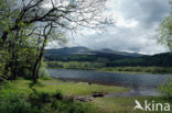Scotland