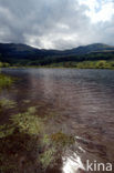 Scotland