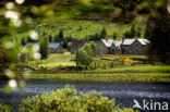 Scotland