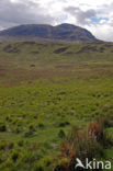 Scotland