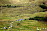 Scotland