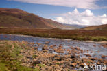 Sligachan