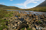 Sligachan
