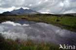 Sligachan