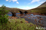 Sligachan