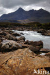 Sligachan