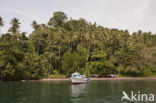 Lembeh Strait