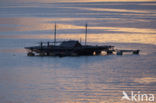 Lembeh Strait